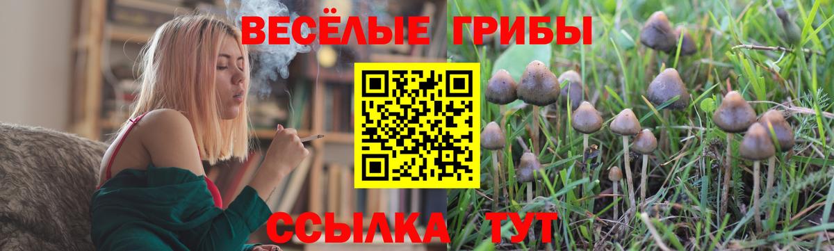 Галлюциногенные грибы мицелий Дедовск