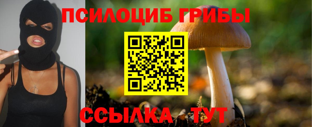 Дедовск  Псилоцибиновые грибы Cubensis  Вход с VPN  Галлюциногенные грибы прущие грибы 